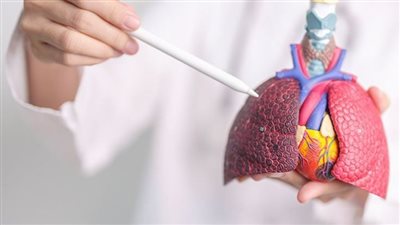واحد من كل خمسة طلاب جامعيين في الإمارات يستخدمون السجائر الإلكترونية