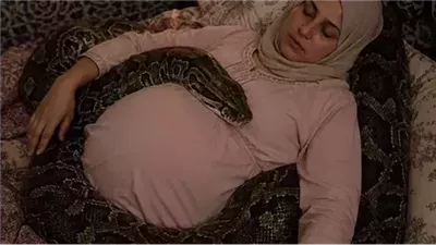 امرأة حامل بجوار أفعاها الأليفة الضخمة كل ليلة