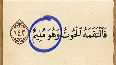 مامعنى كلمة  « مُلِيمٌ ». الواردة في الآية..؟؟