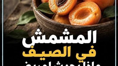 فاكهة الصيف اللذيذة ماذا يحدث لجسم مـريض الكلى عند تناول المشمش 