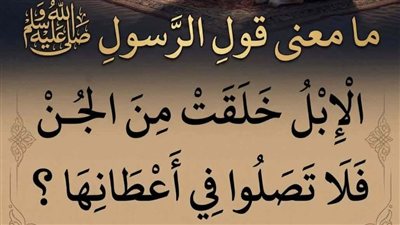 معنى قول الرسول ﷺ الإبل خُلقت من الجن فلا تصلوا في أعطانها