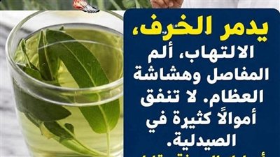 الميرمية بين الفوائد العلمية الحقيقية والمبالغات الإعلانية: قراءة واعية في الطب البديل