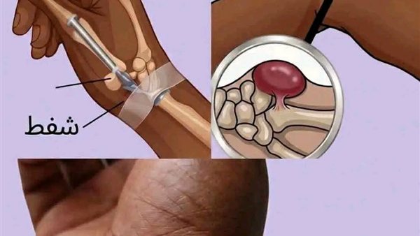 لمحة نيوز