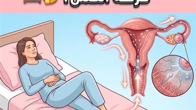 هل النوم بعد العلاقة الزوجية يزيد فرصة الحمل؟