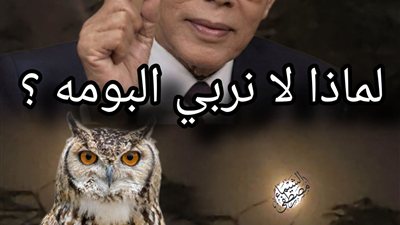 لماذا لا نربي البومه ؟