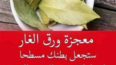معجزة ورق الغار هل يساعد فعلًا على تنعيم البشرة وتفتيح الوجه والتخلص من الشيب؟