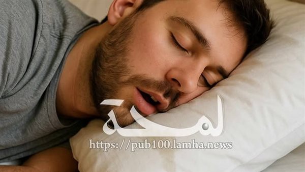 لمحة نيوز