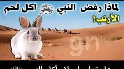 لماذا تجنب النبي أكل لحم الأرانب رغم أنها جائزة شرعًا 