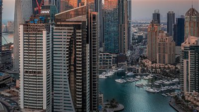 ارتفاع قياسي للصادرات المصرية للإمارات بنسبة 153.3 % في النصف الأول من العام