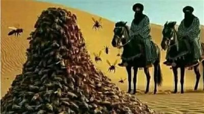 الصحابي عاصم ابن ثابت