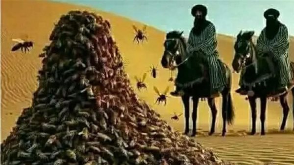 لمحة نيوز