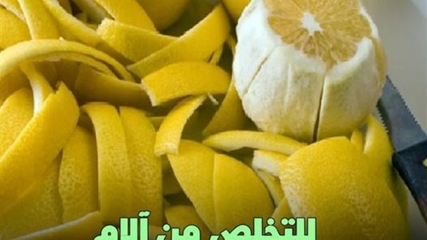 لمحة نيوز