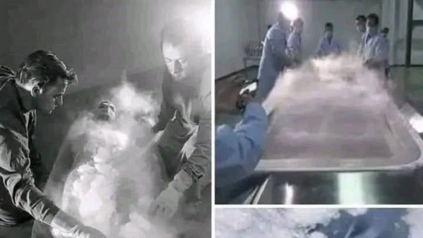 لمحة نيوز