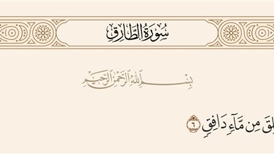 تفسير قوله تعالى : خلق من ماء دافق ..