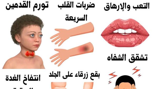 لمحة نيوز