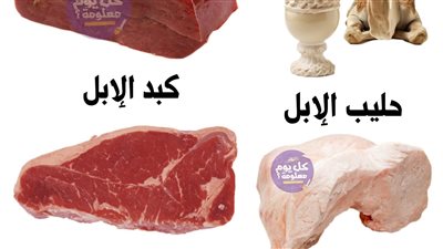 الإبل ومشتقاتها