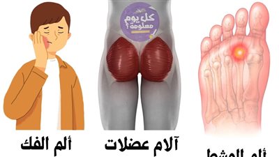 مشط القدم