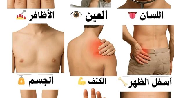 لمحة نيوز