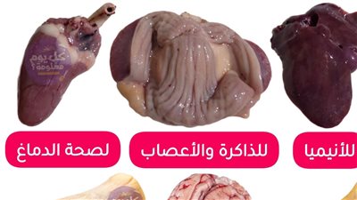 كبد الدجاج