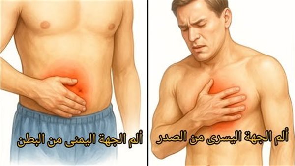 لمحة نيوز