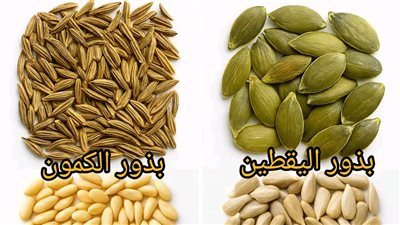 بذور