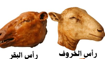 راس الخروف