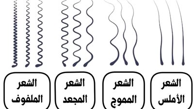 الشعر