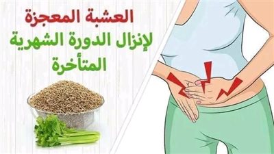 للنساء فقط العشبة المعجزة لإنزال الدورة الشهرية مهما طال إنقطاعها مع تنظيمها وعلاج الخلل الهرموني الغير