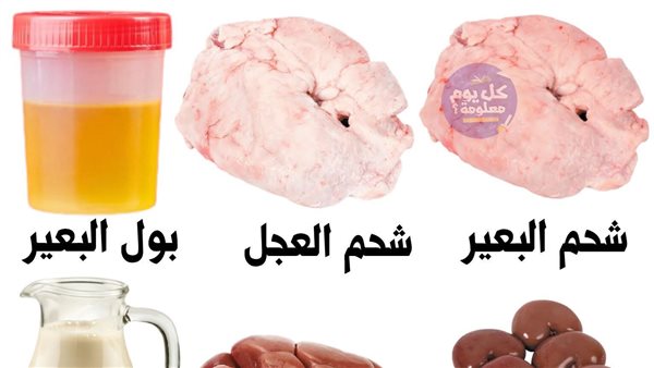 لمحة نيوز