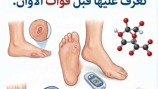 لمحة نيوز