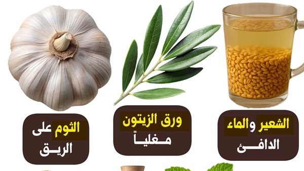 لمحة نيوز