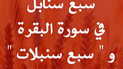 ما الفرق بين سبع سنابل في سورة البقرة و سبع سنبلات في سورة يوسف؟