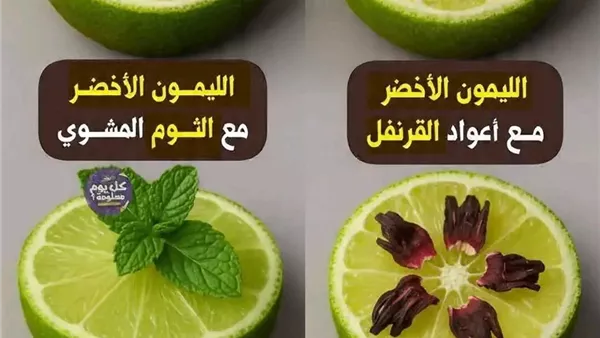 لمحة نيوز