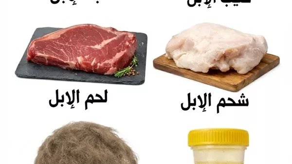 لمحة نيوز