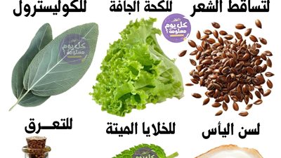 العدس البيض أوراق النعناع الزيتون اكليل الجبل