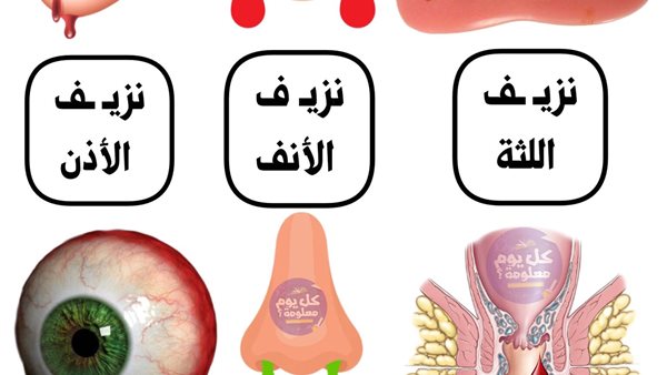 لمحة نيوز