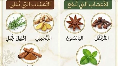 اعشاب تنقع ولا تغـلى