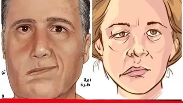 لمحة نيوز