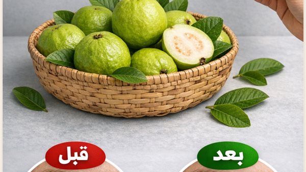 لمحة نيوز