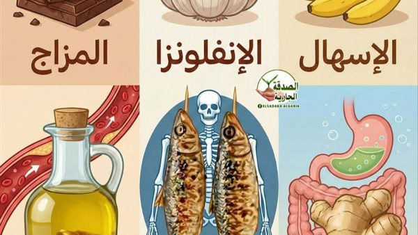 لمحة نيوز