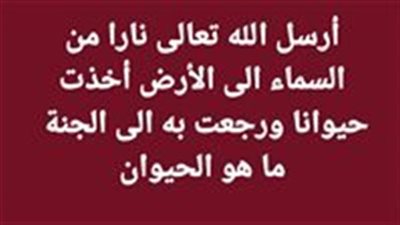 أرسل الله تعالى ڼارا من السماء الى الأرض أخذت حيوانا ورجعت به الى الجنة ما هو الحيوان