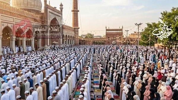 لمحة نيوز